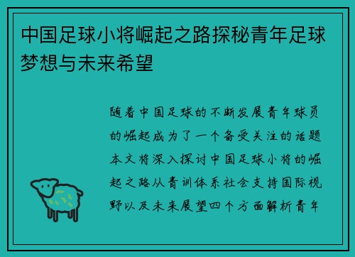 中国足球小将崛起之路探秘青年足球梦想与未来希望