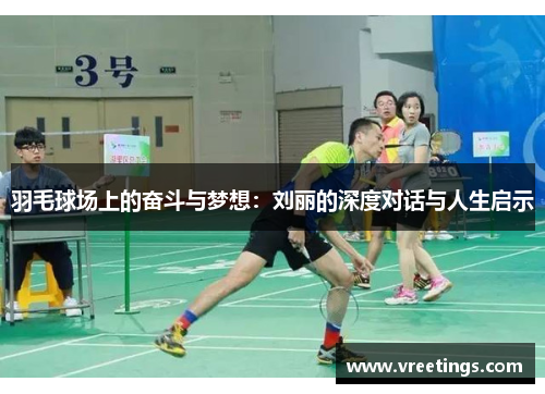 羽毛球场上的奋斗与梦想：刘丽的深度对话与人生启示