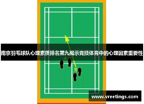 南京羽毛球队心理素质排名第九揭示竞技体育中的心理因素重要性